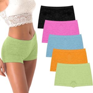 R RUXIA Women's Boyshorts Underwear Seamless Boy Shorts Pant...