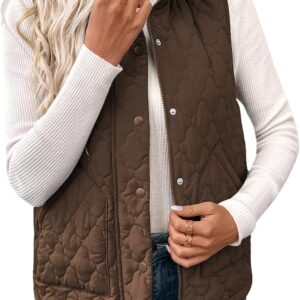 EVALESS Womens Puffer Vest Lightweight Stand Collar Sleevele…